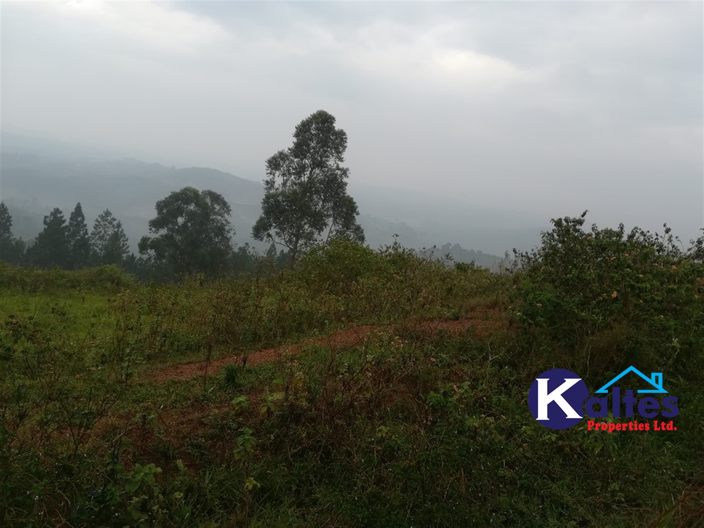 Residential Land for sale in Nakifuma Mukono