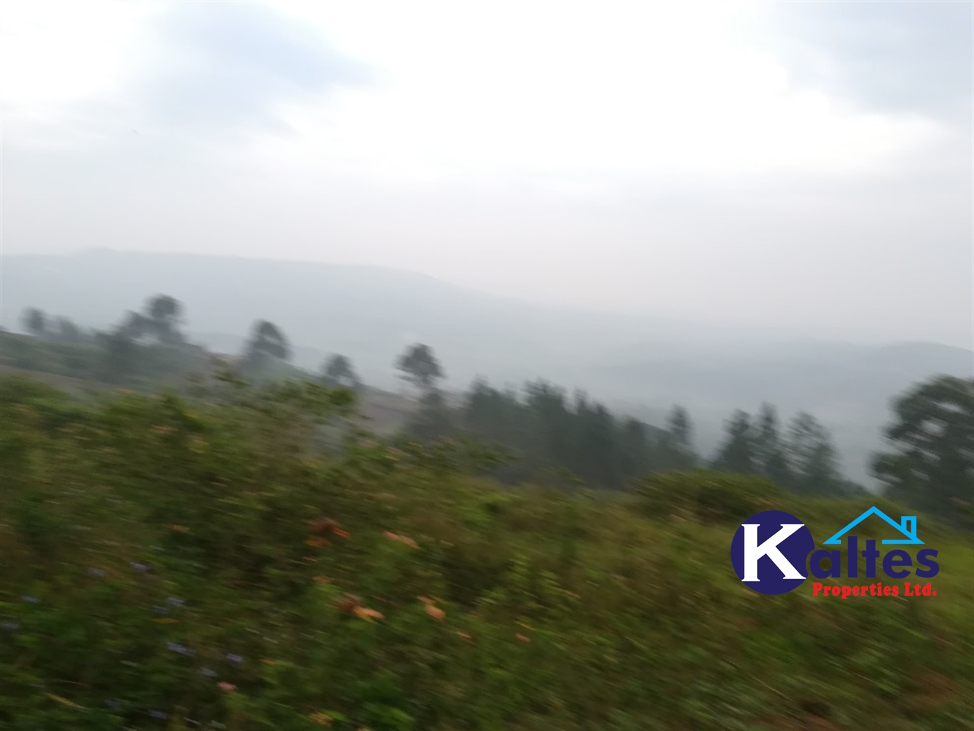 Residential Land for sale in Nakifuma Mukono