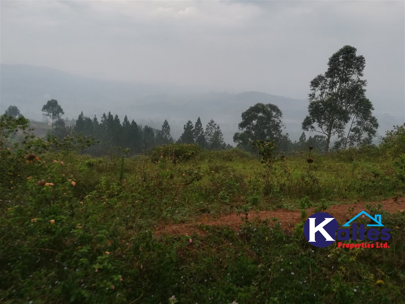 Residential Land for sale in Nakifuma Mukono