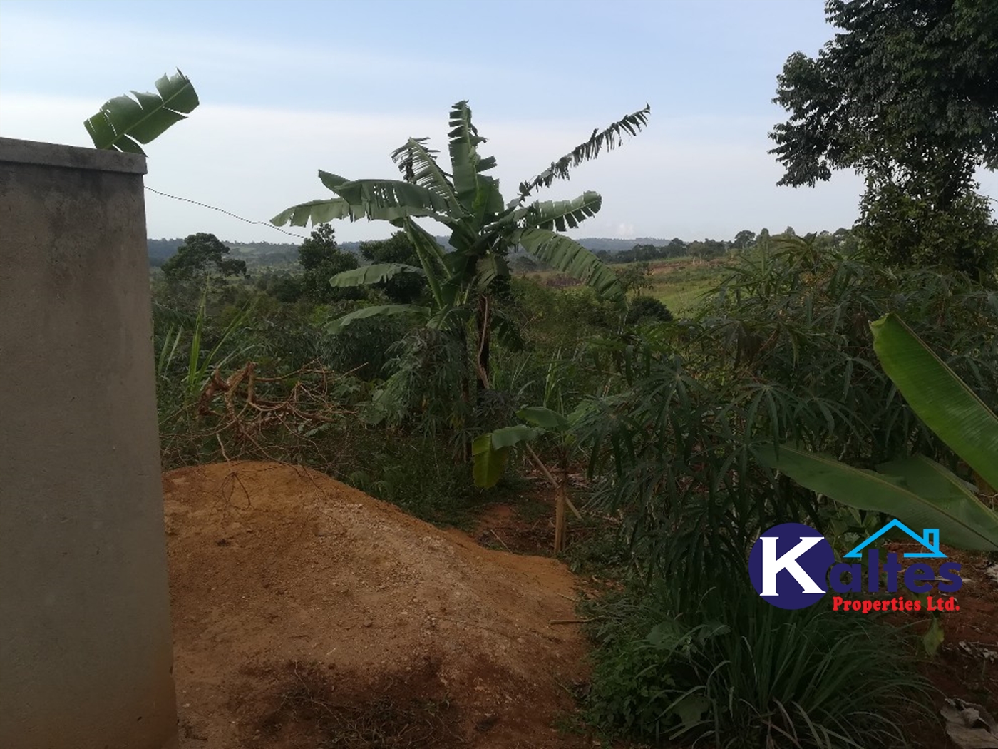 Residential Land for sale in Nakifuma Mukono