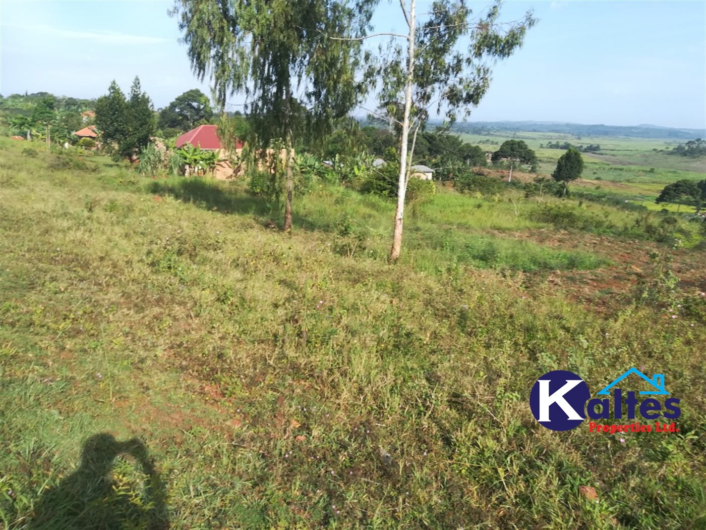 Residential Land for sale in Nakifuma Mukono