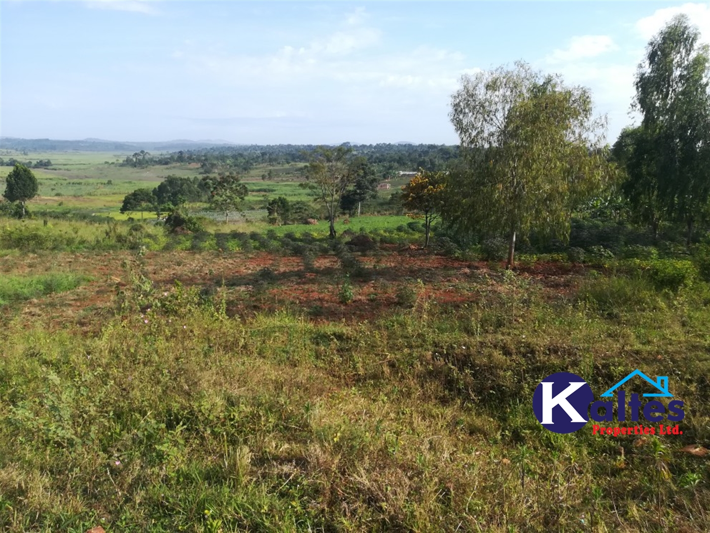 Residential Land for sale in Nakifuma Mukono