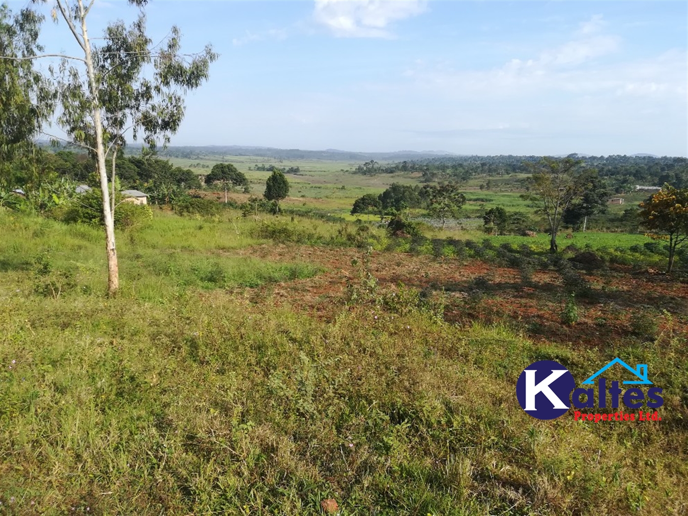 Residential Land for sale in Nakifuma Mukono
