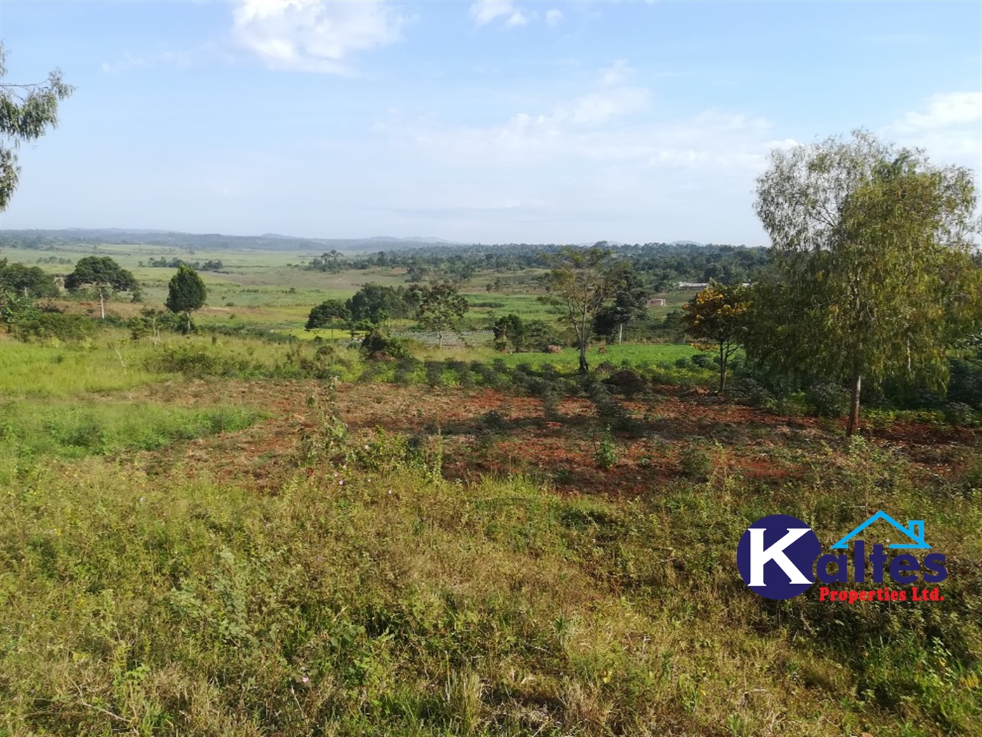 Residential Land for sale in Nakifuma Mukono