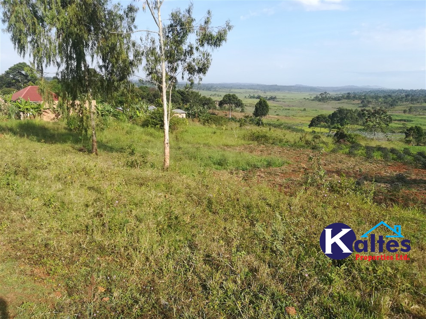 Residential Land for sale in Nakifuma Mukono