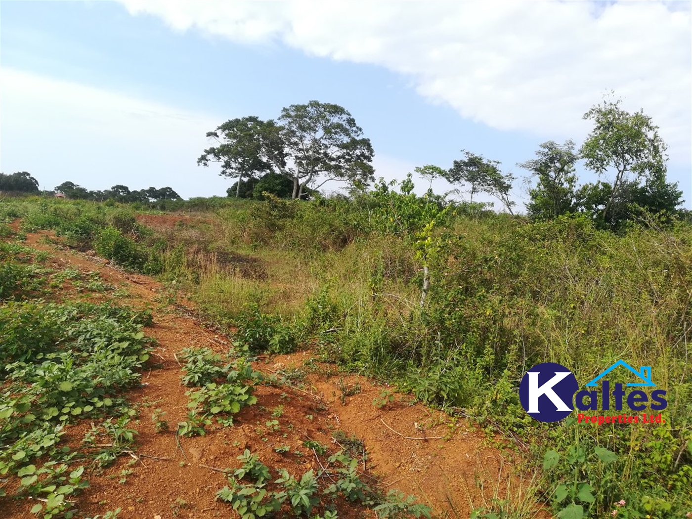 Residential Land for sale in Dangala Buyikwe