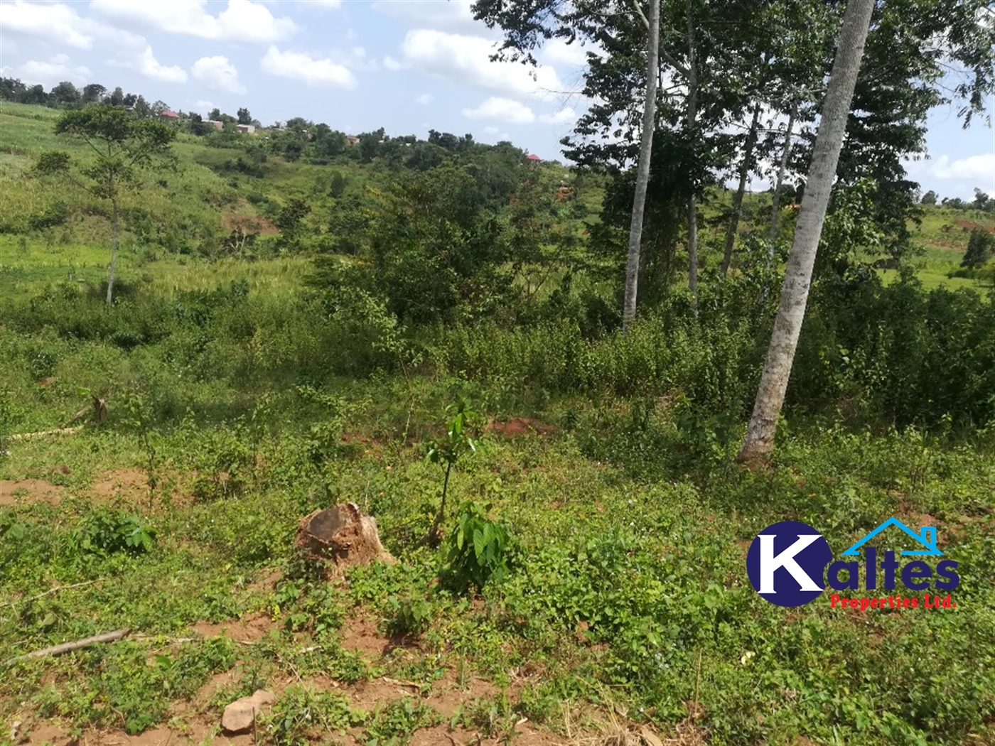 Agricultural Land for sale in Dangala Buyikwe