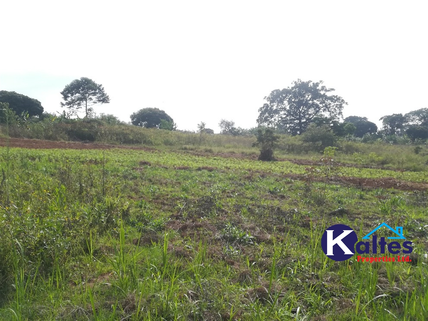Agricultural Land for sale in Ggaba Buyikwe