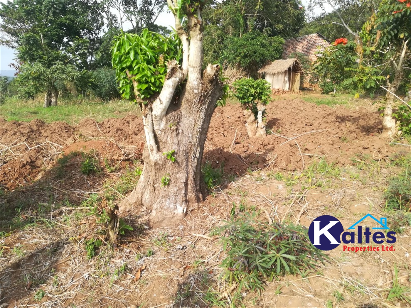 Agricultural Land for sale in Ggaba Buyikwe
