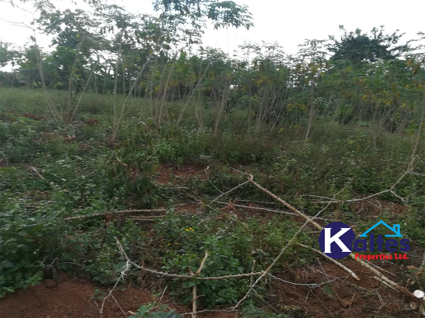 Residential Land for sale in Ggangu Buyikwe