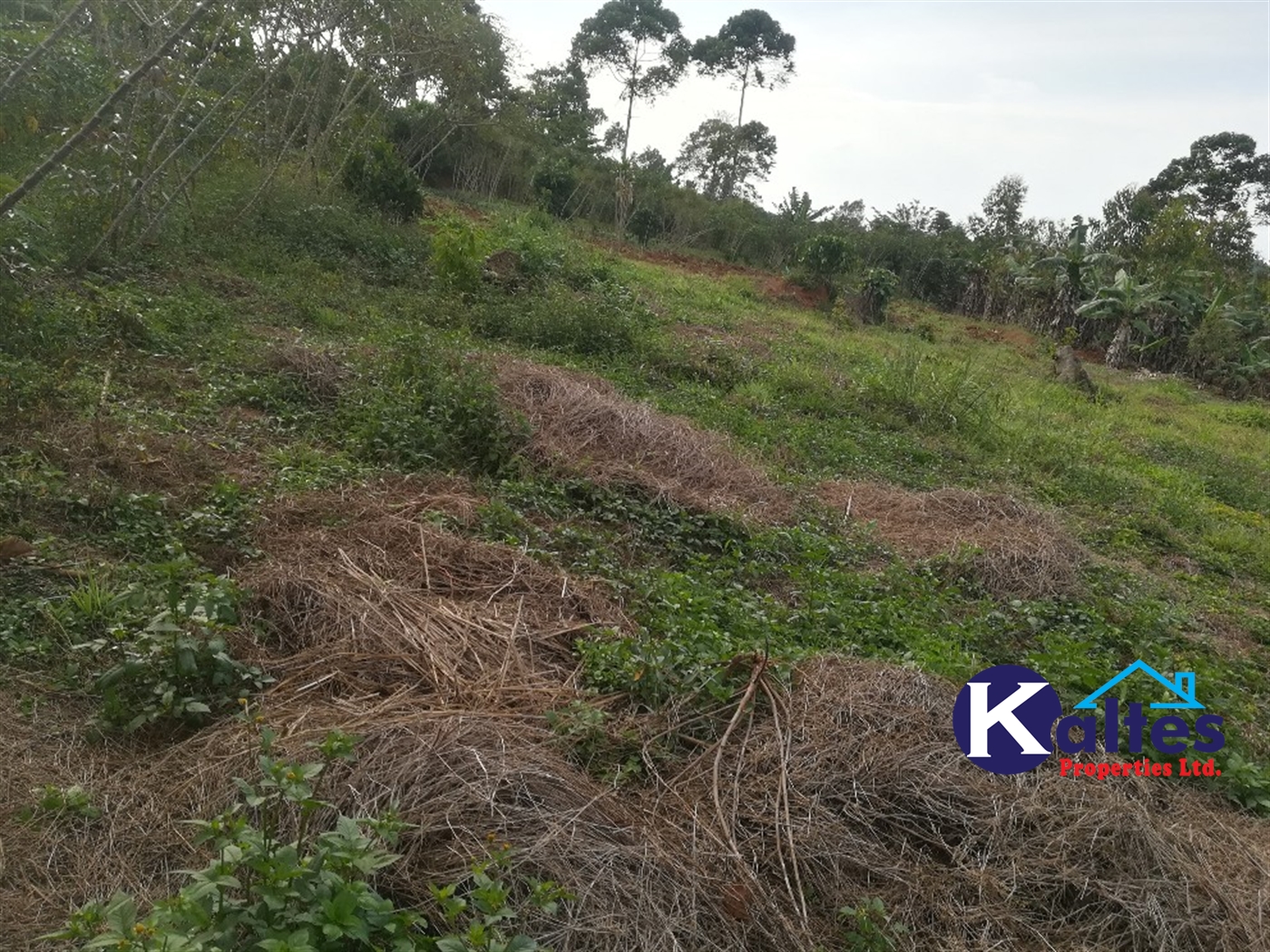 Agricultural Land for sale in Ggangu Buyikwe