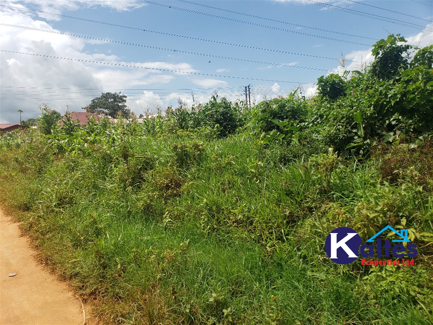 Residential Land for sale in Naggalama Mukono