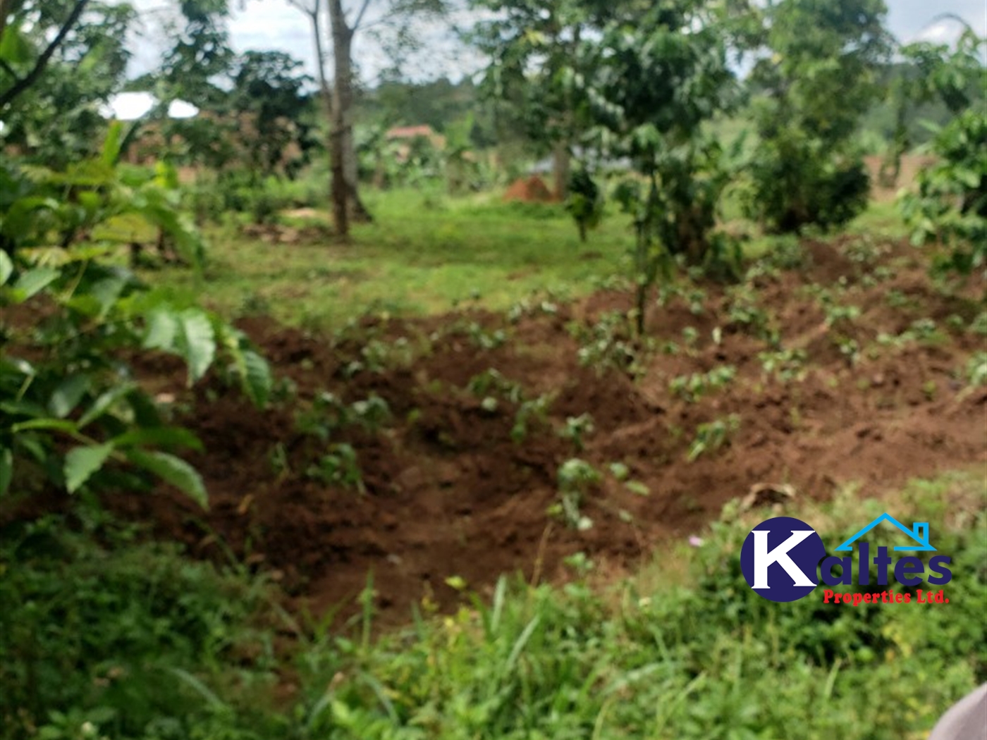 Residential Land for sale in Naggalama Mukono