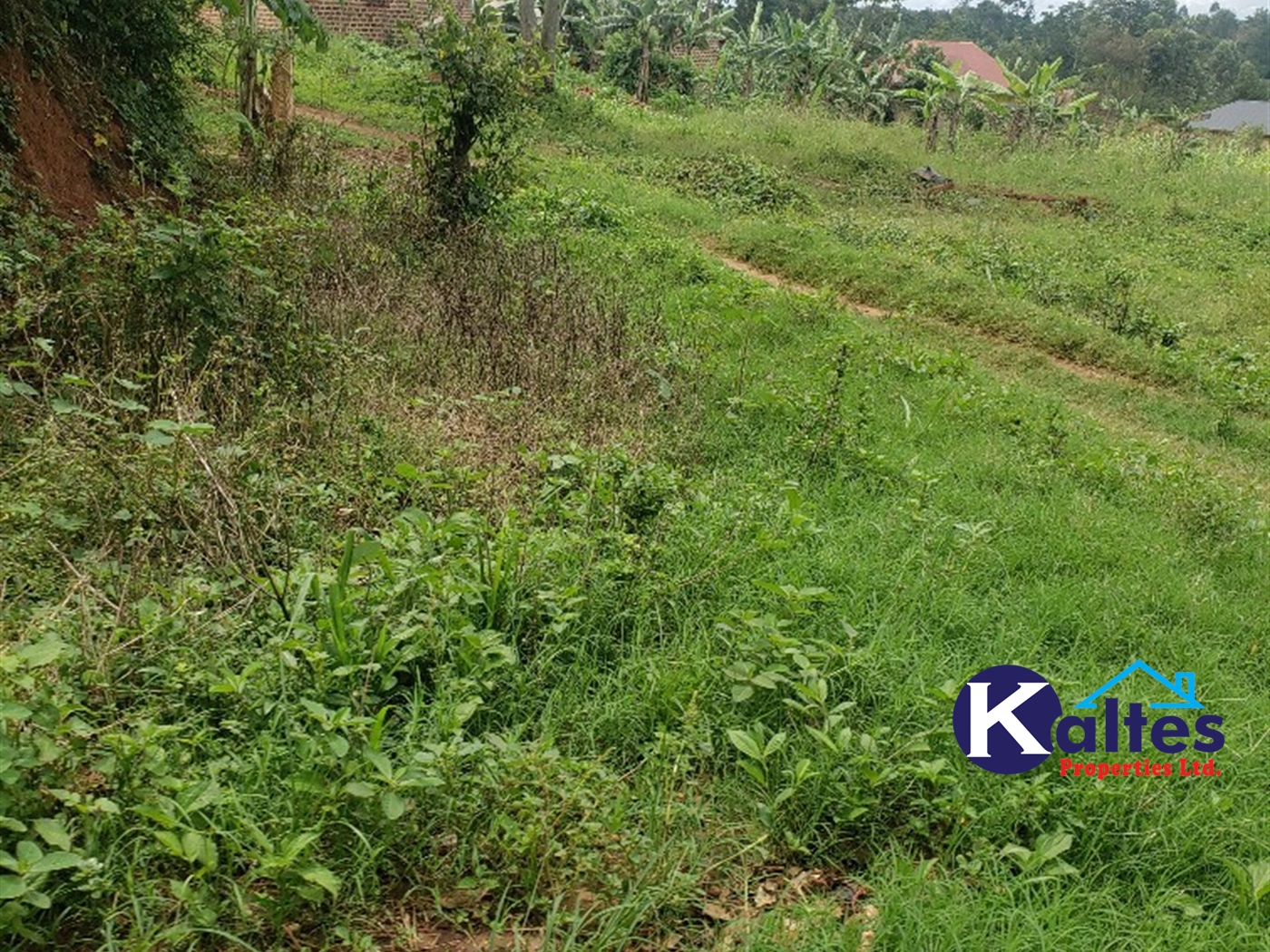 Residential Land for sale in Naggalama Mukono