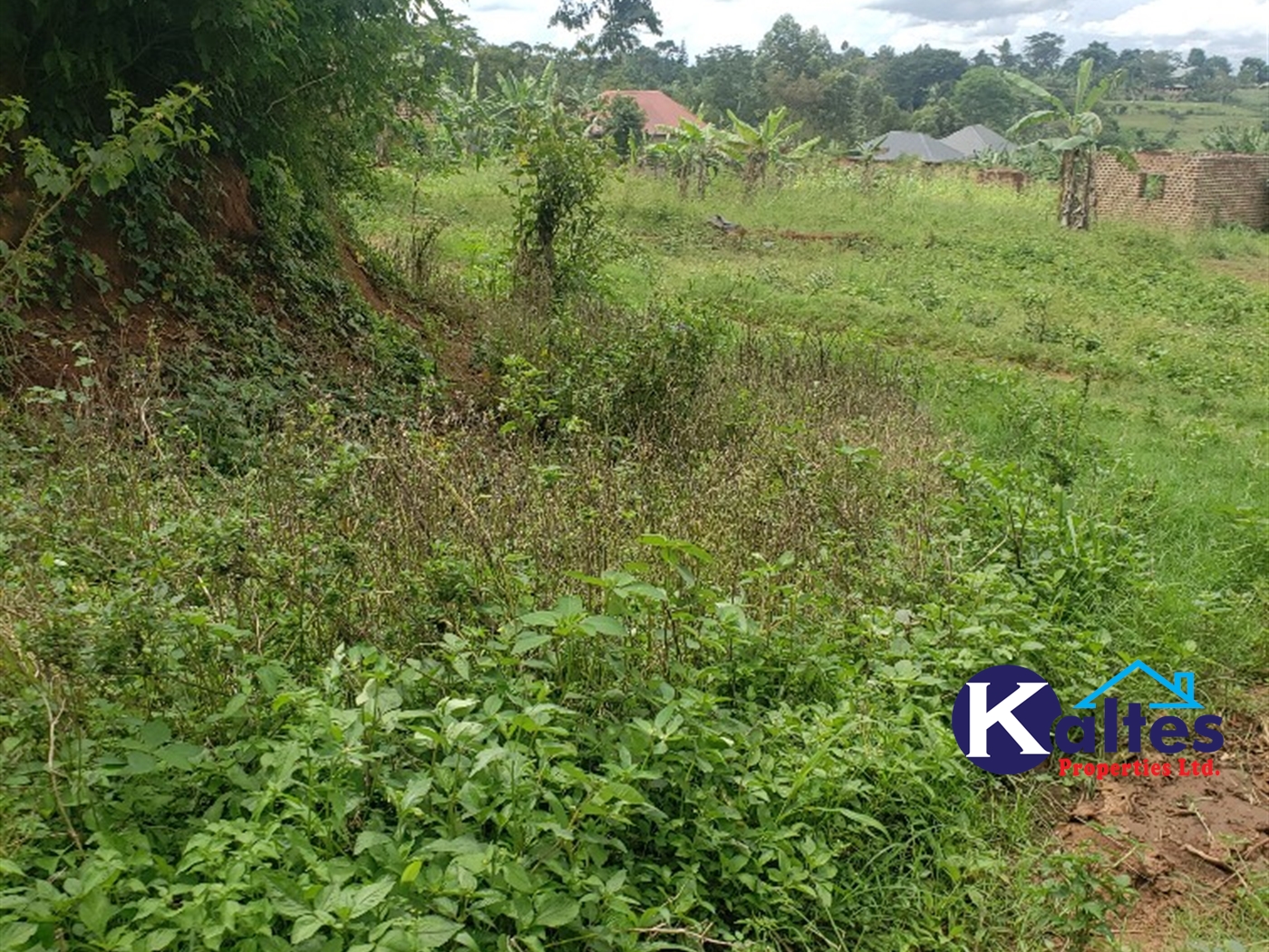 Residential Land for sale in Naggalama Mukono