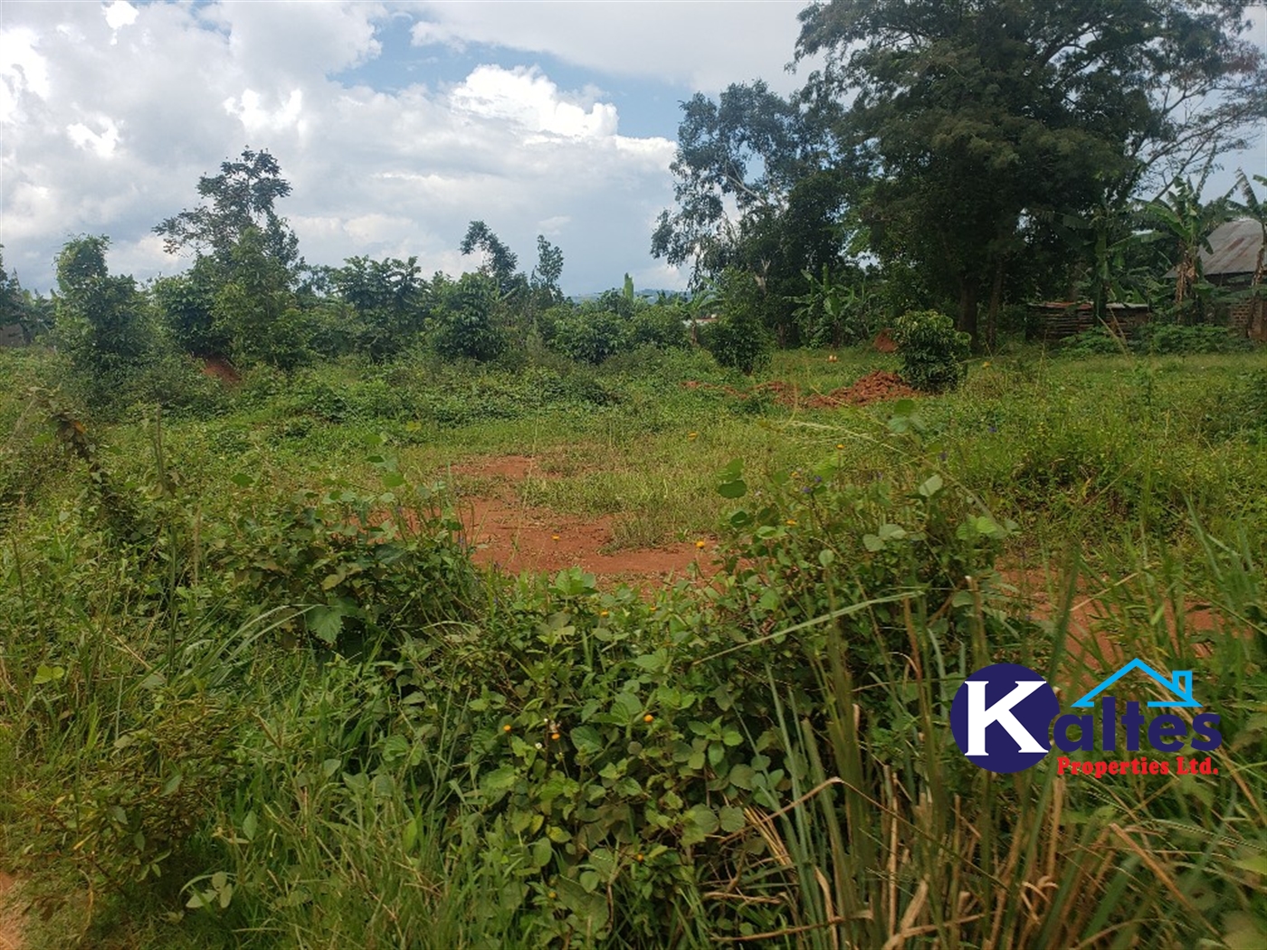 Residential Land for sale in Namawojjolo Mukono