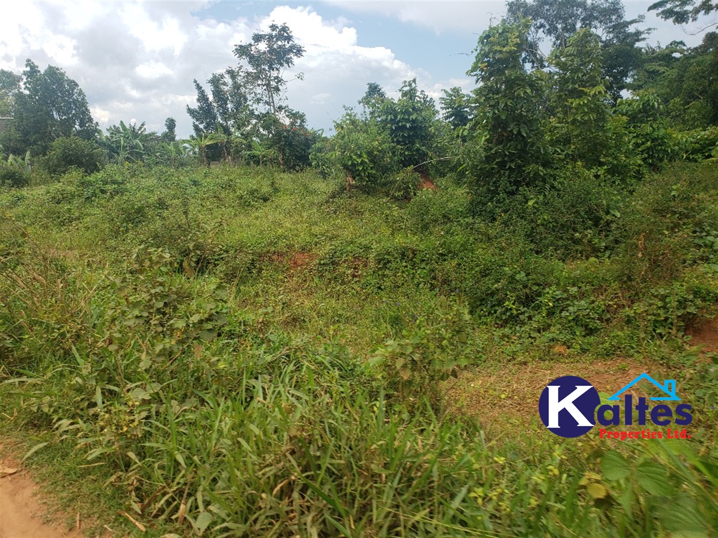 Residential Land for sale in Namawojjolo Mukono