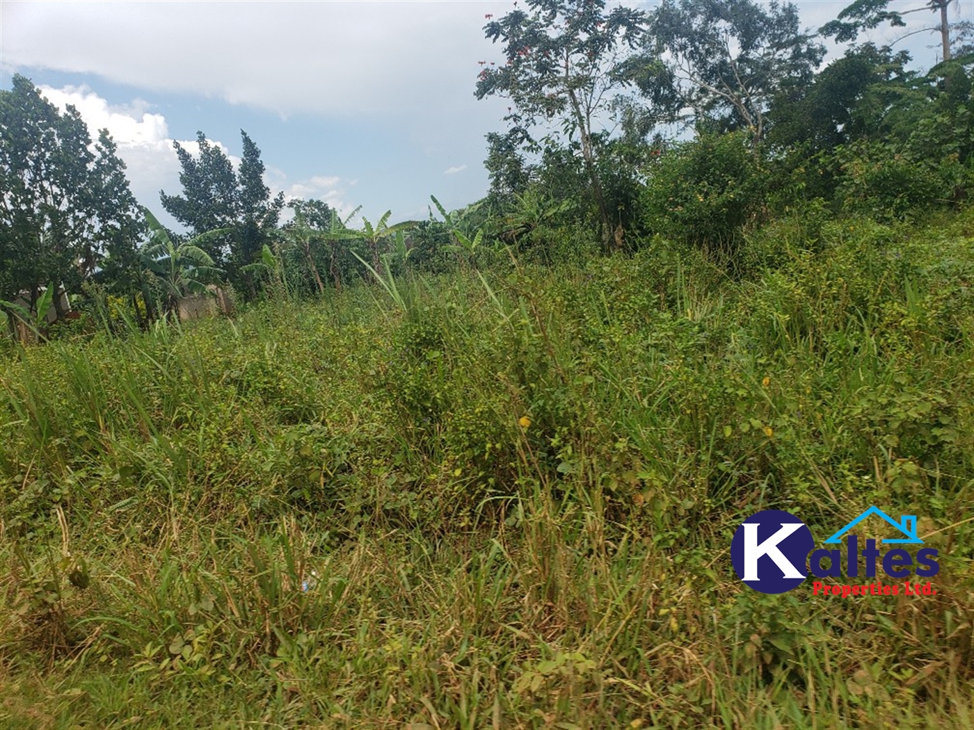 Residential Land for sale in Namawojjolo Mukono