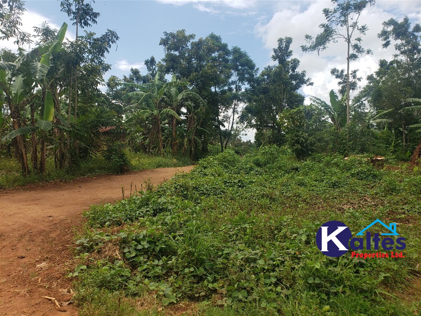 Residential Land for sale in Namawojjolo Mukono