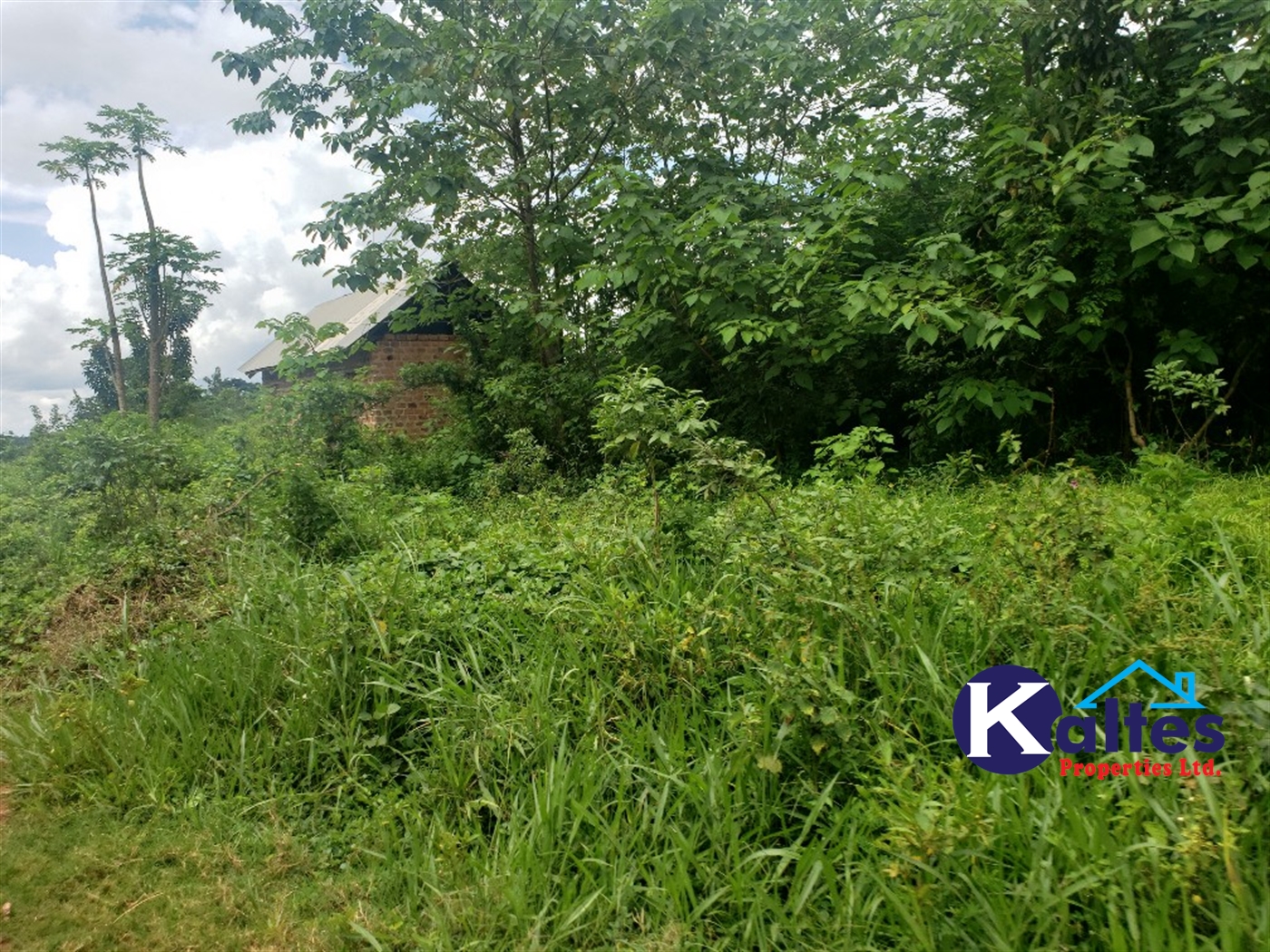 Residential Land for sale in Mbalala Mukono