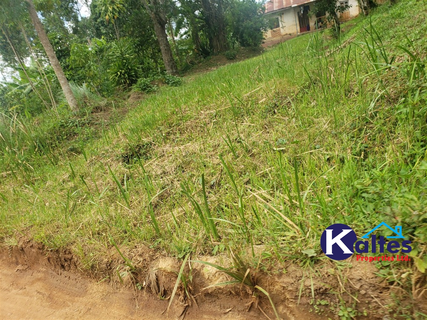 Residential Land for sale in Mbalala Mukono