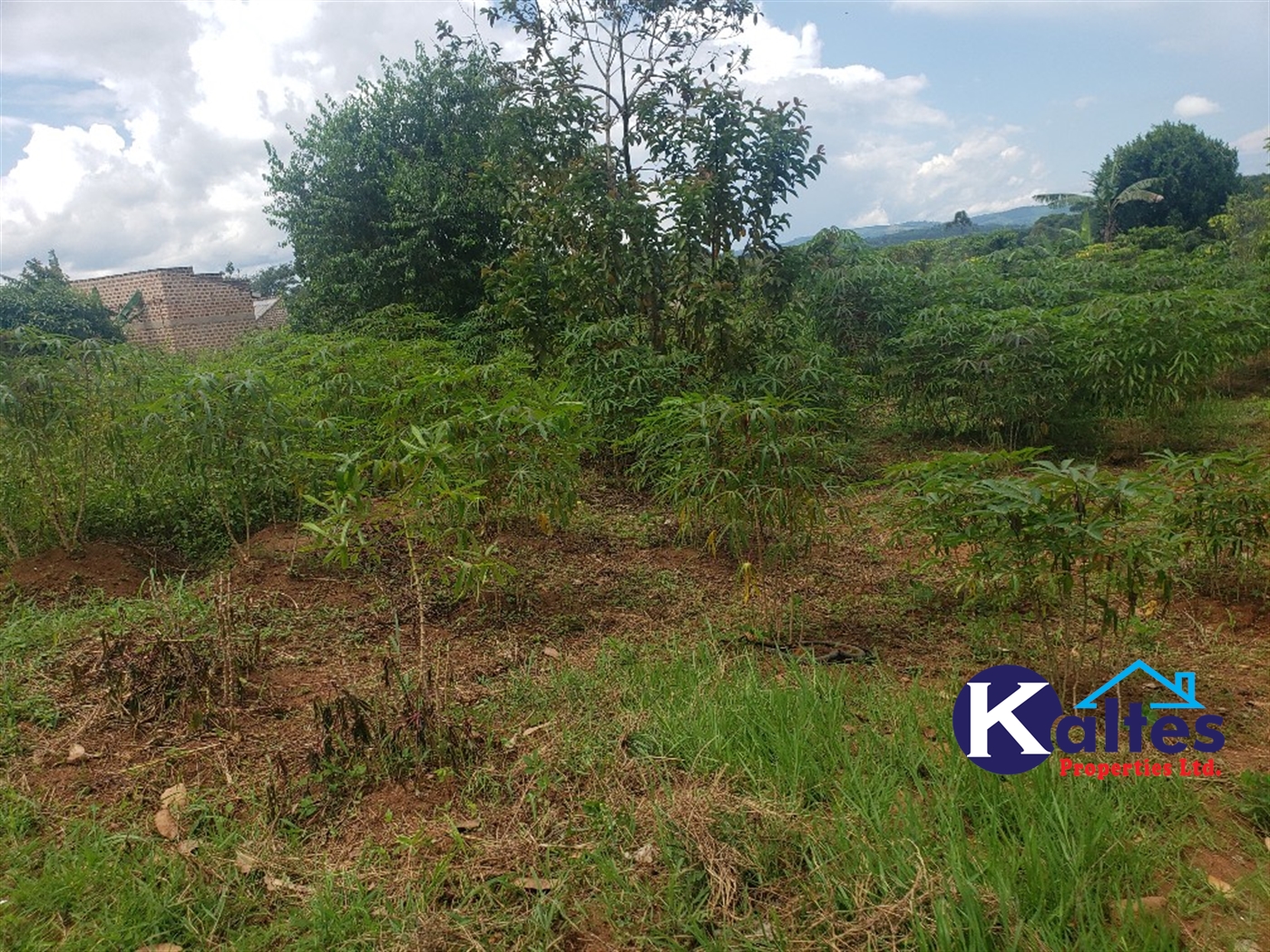 Residential Land for sale in Mbalala Mukono