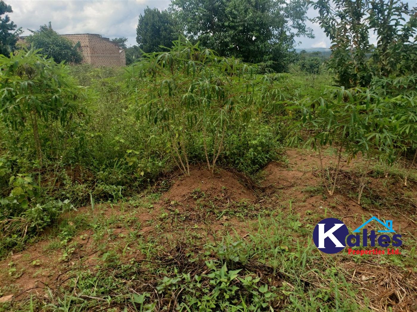 Residential Land for sale in Mbalala Mukono
