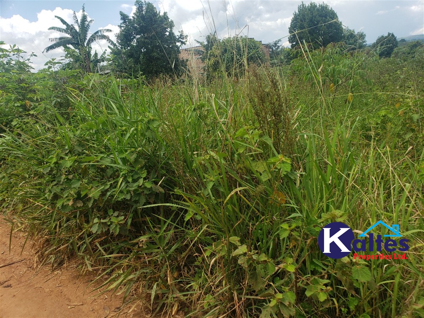 Residential Land for sale in Mbalala Mukono