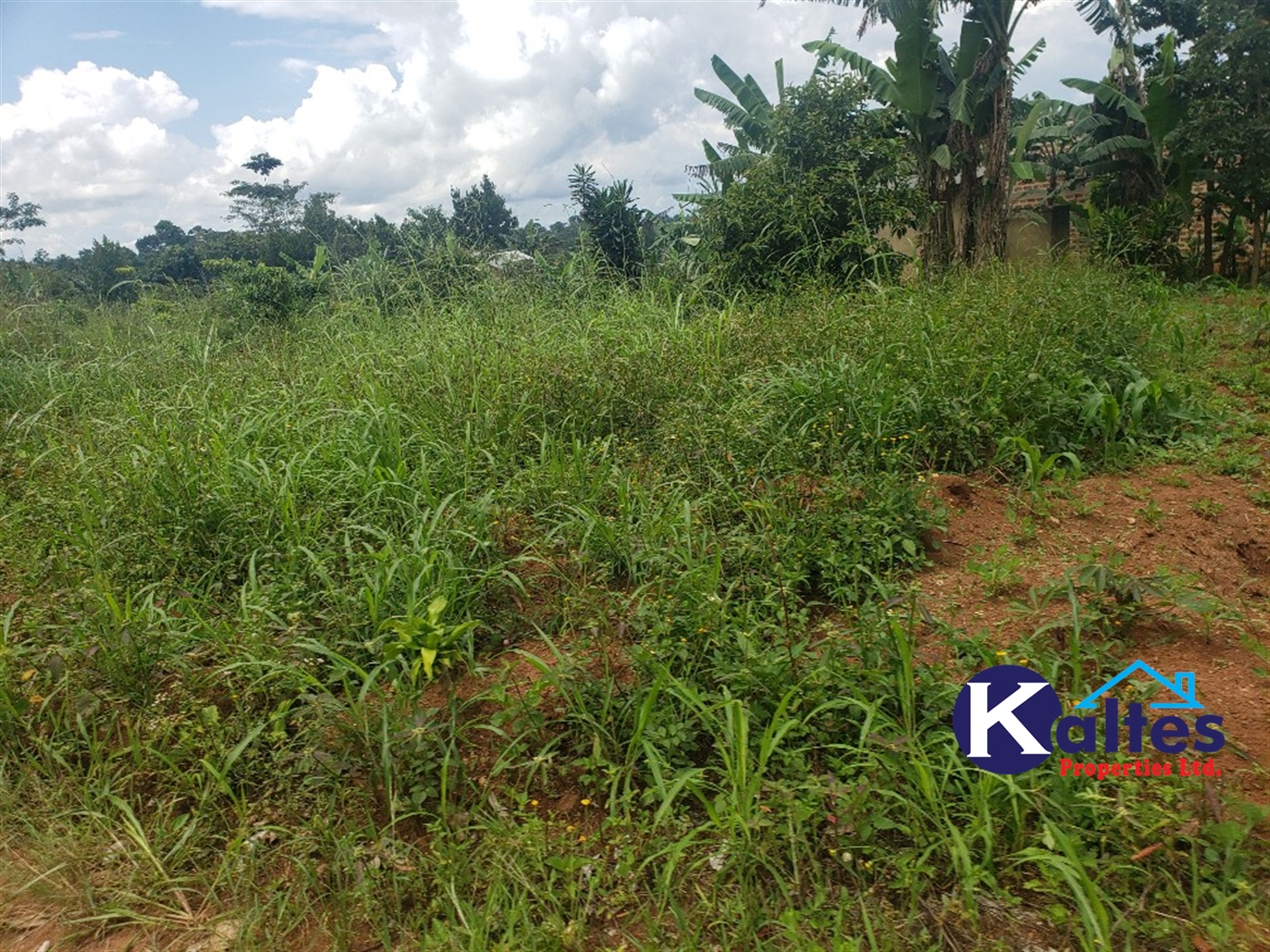 Residential Land for sale in Mbalala Mukono