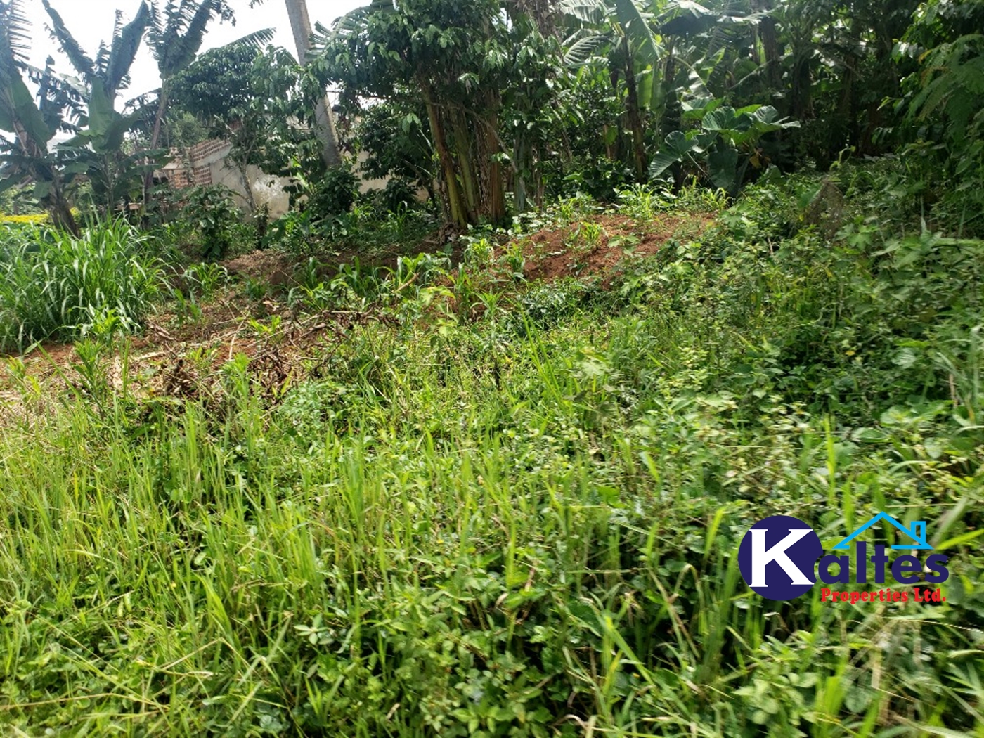 Residential Land for sale in Mbalala Mukono