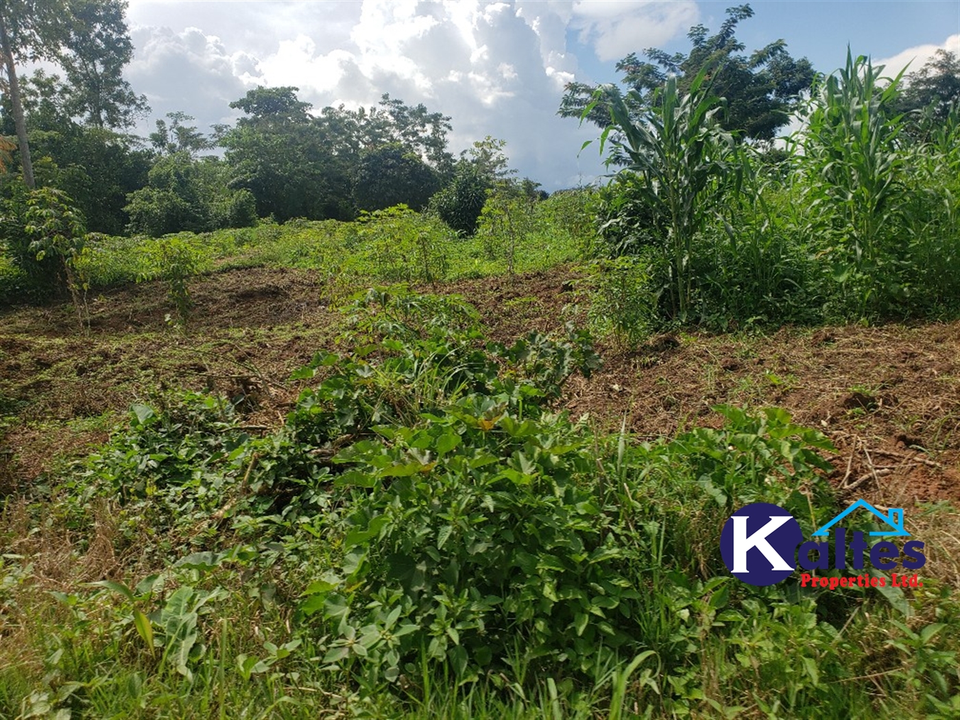 Residential Land for sale in Mbalala Mukono