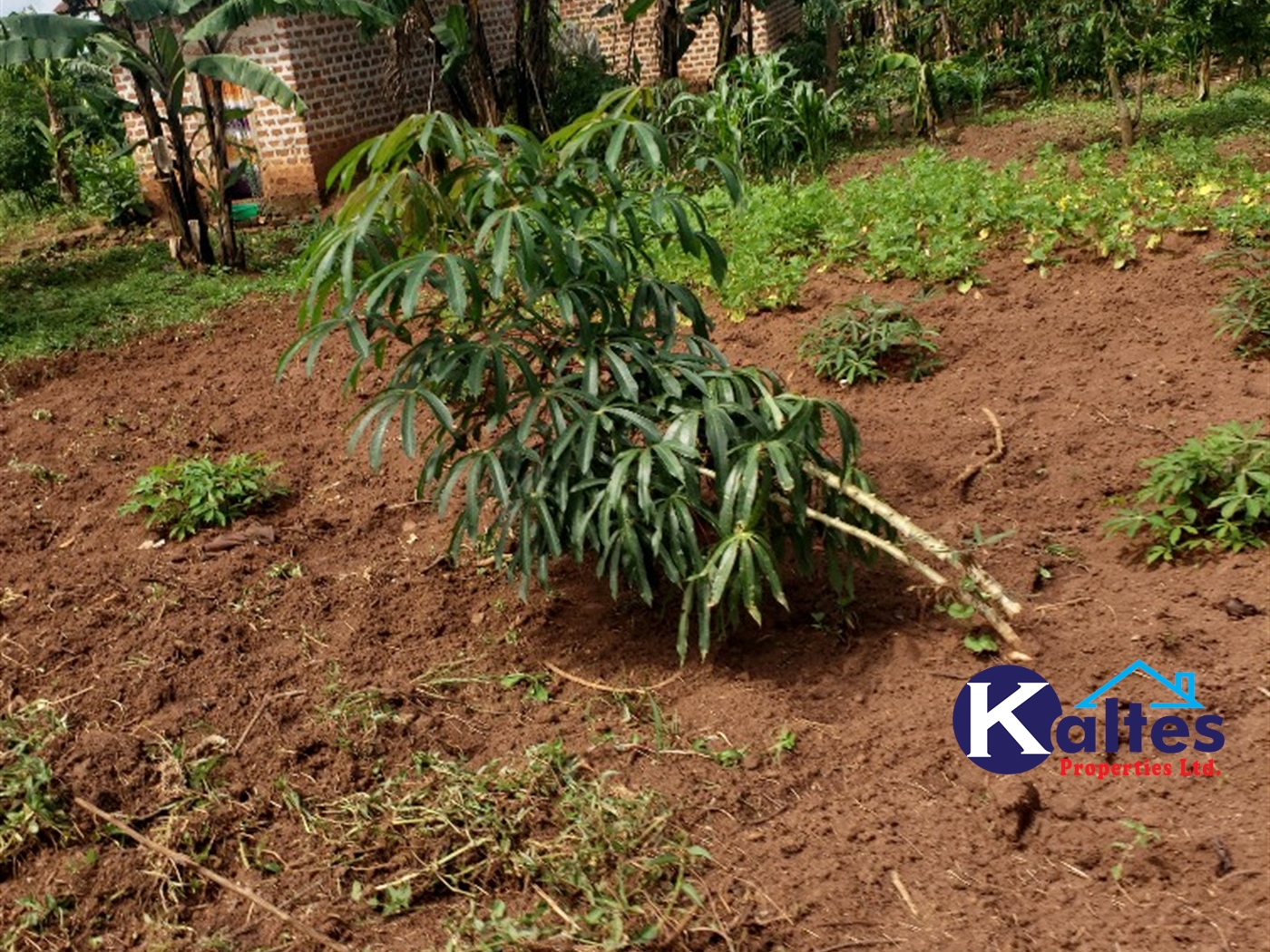 Residential Land for sale in Kayanja Mukono