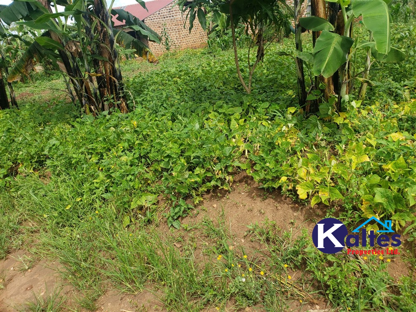 Residential Land for sale in Kayanja Mukono