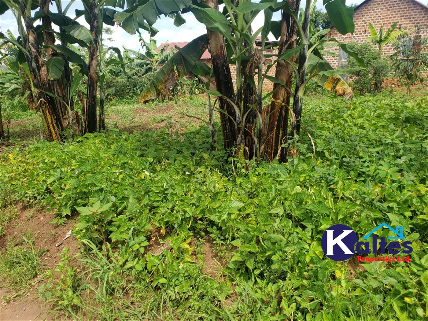 Residential Land for sale in Kayanja Mukono