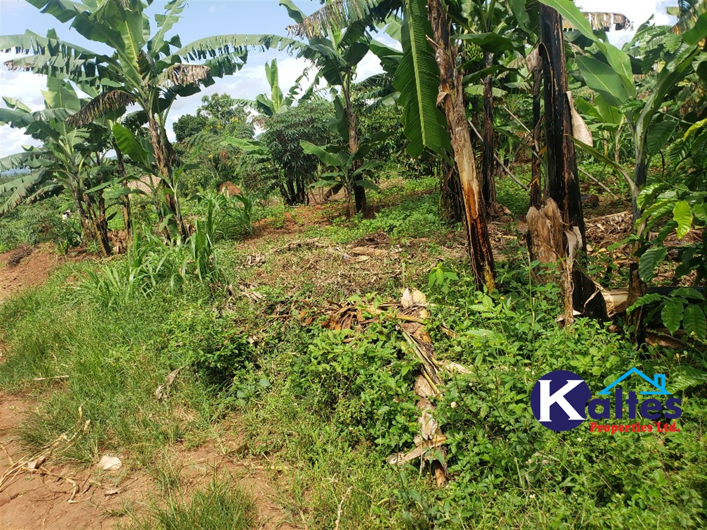 Residential Land for sale in Kayanja Mukono