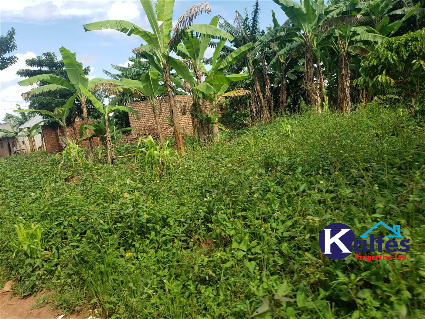 Residential Land for sale in Kayanja Mukono