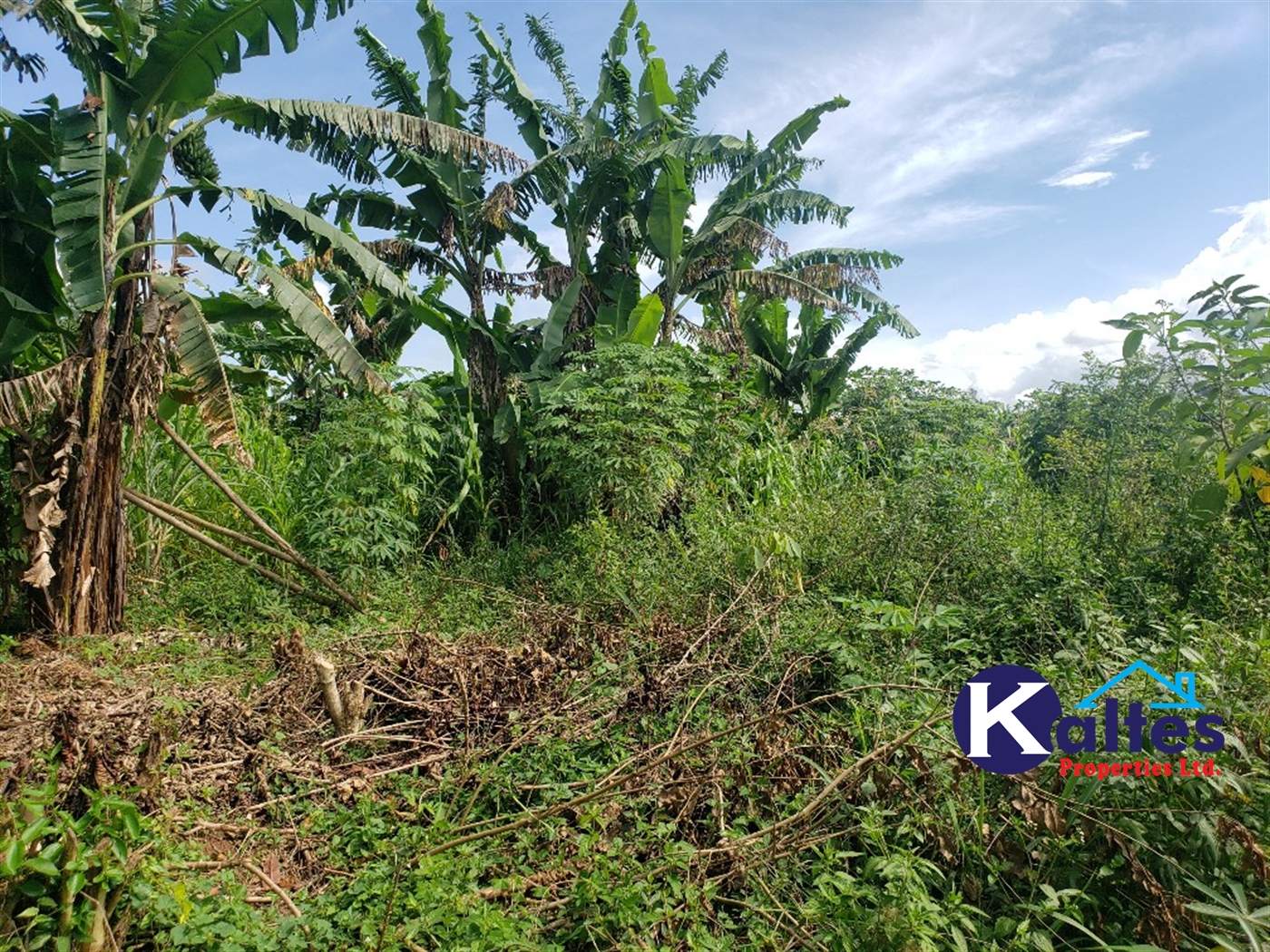 Agricultural Land for sale in Golomolo Buyikwe