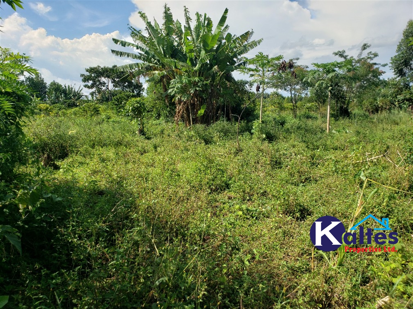 Agricultural Land for sale in Golomolo Buyikwe