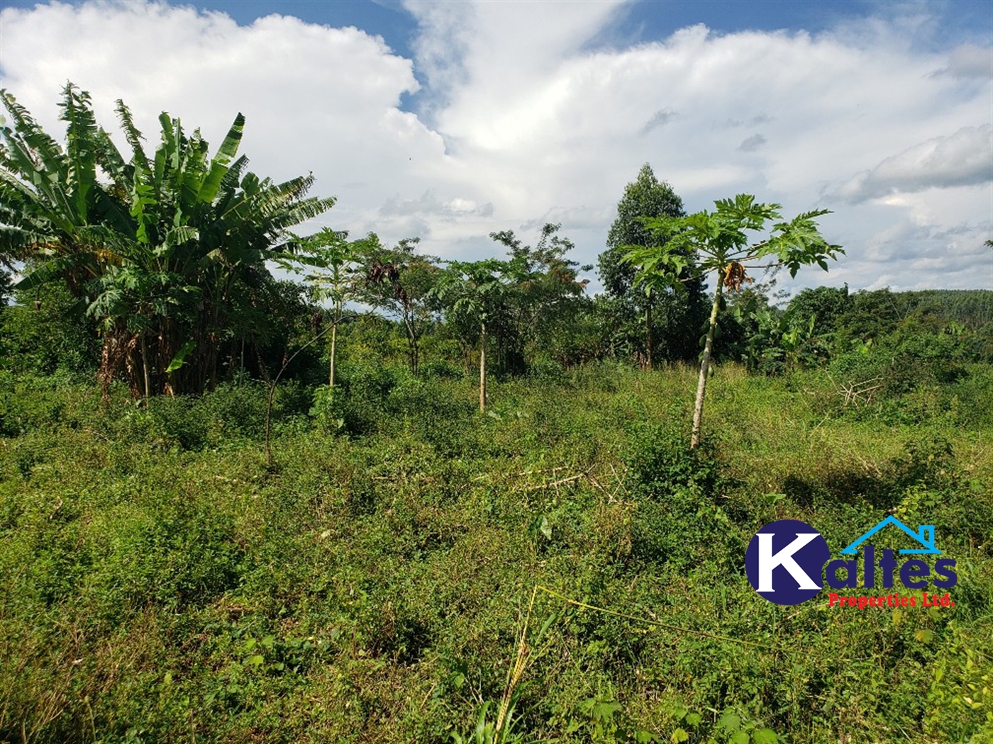 Agricultural Land for sale in Golomolo Buyikwe