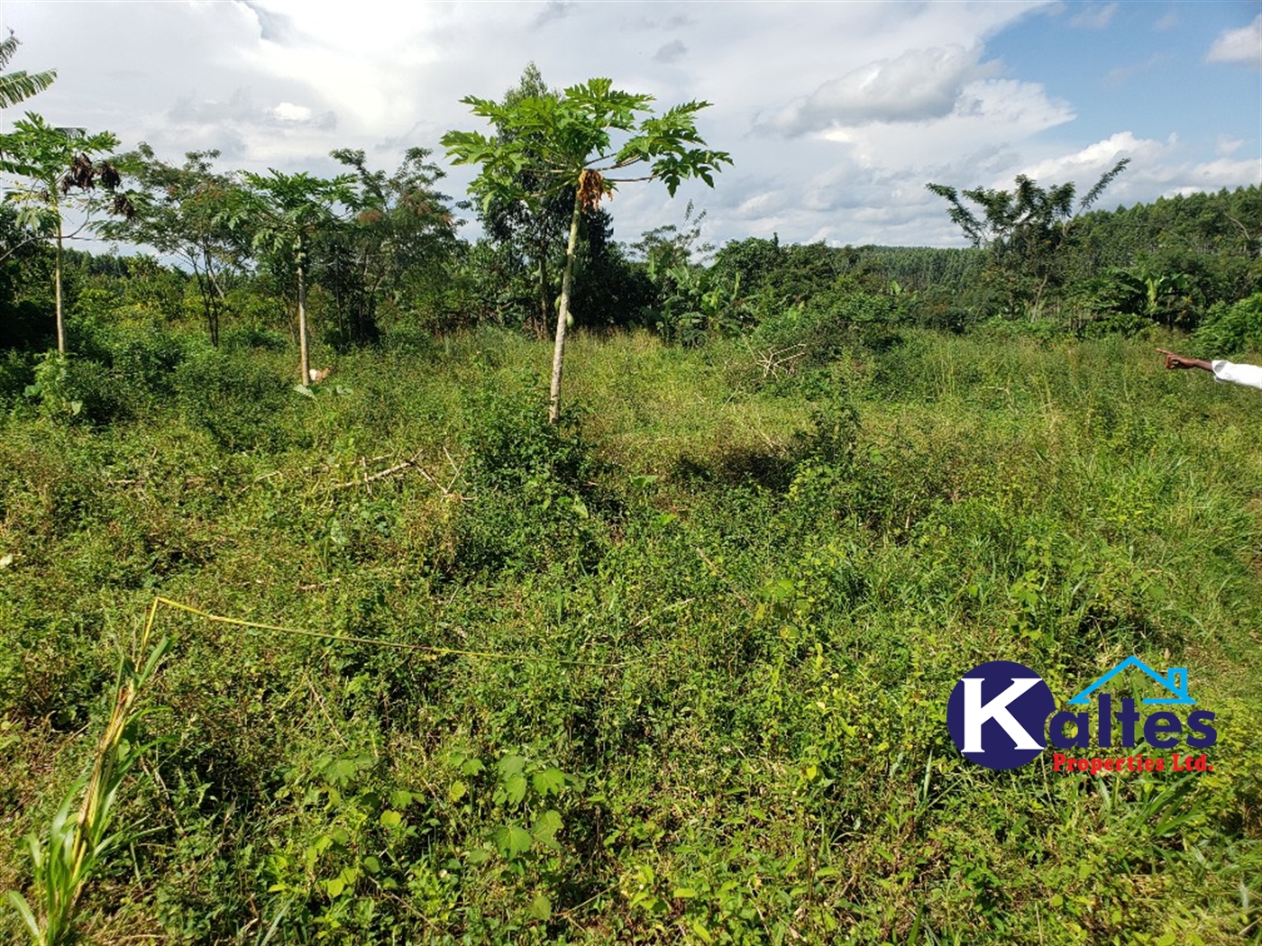 Agricultural Land for sale in Golomolo Buyikwe