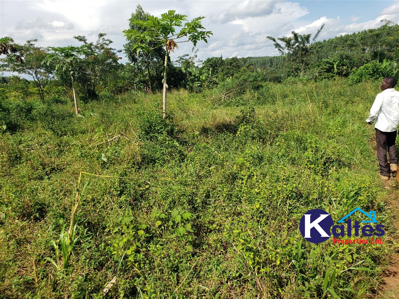 Agricultural Land for sale in Golomolo Buyikwe