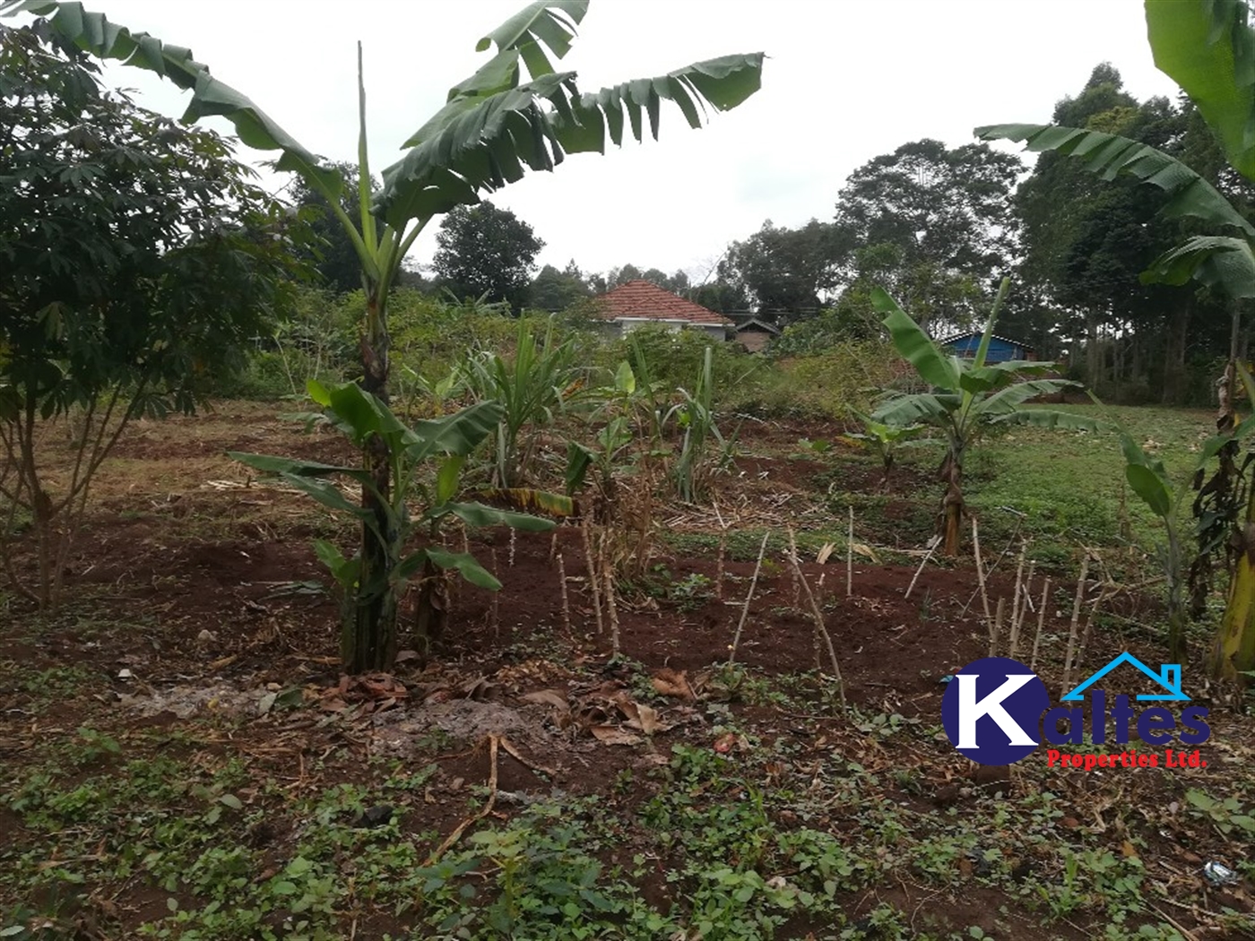 Residential Land for sale in Kiyunga Mukono