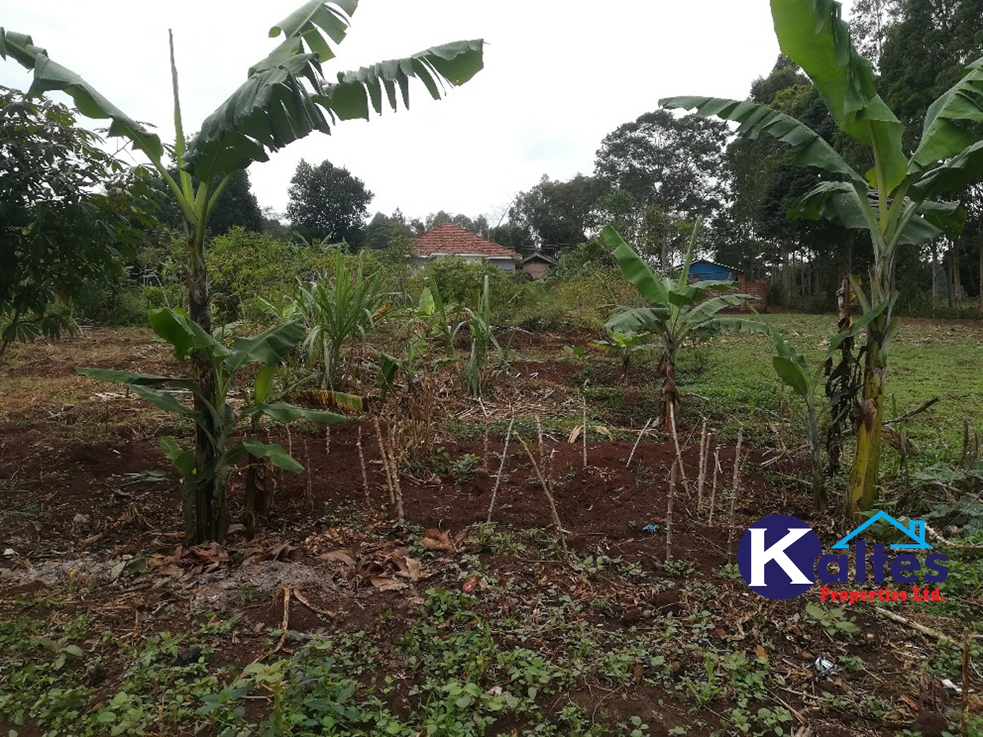 Residential Land for sale in Kiyunga Mukono