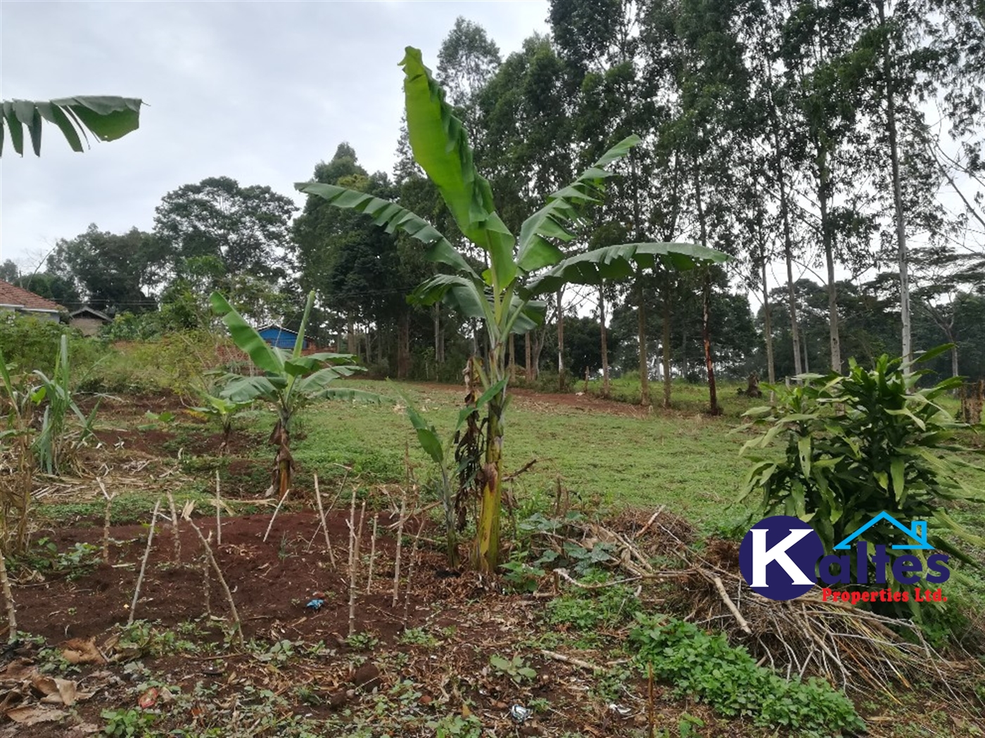 Residential Land for sale in Kiyunga Mukono