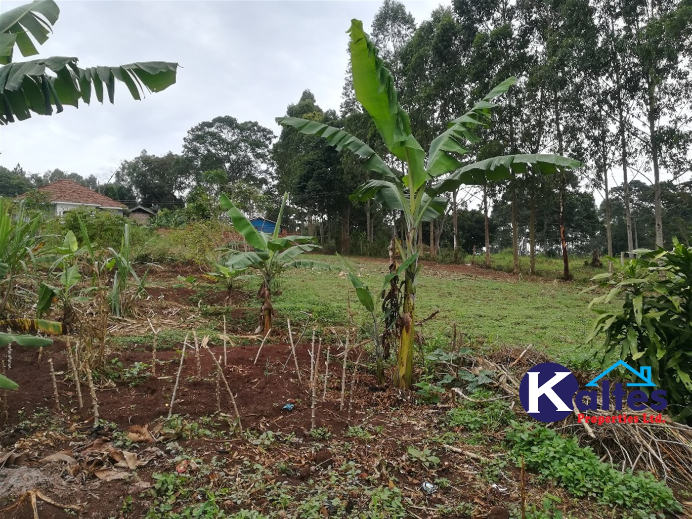 Residential Land for sale in Kiyunga Mukono