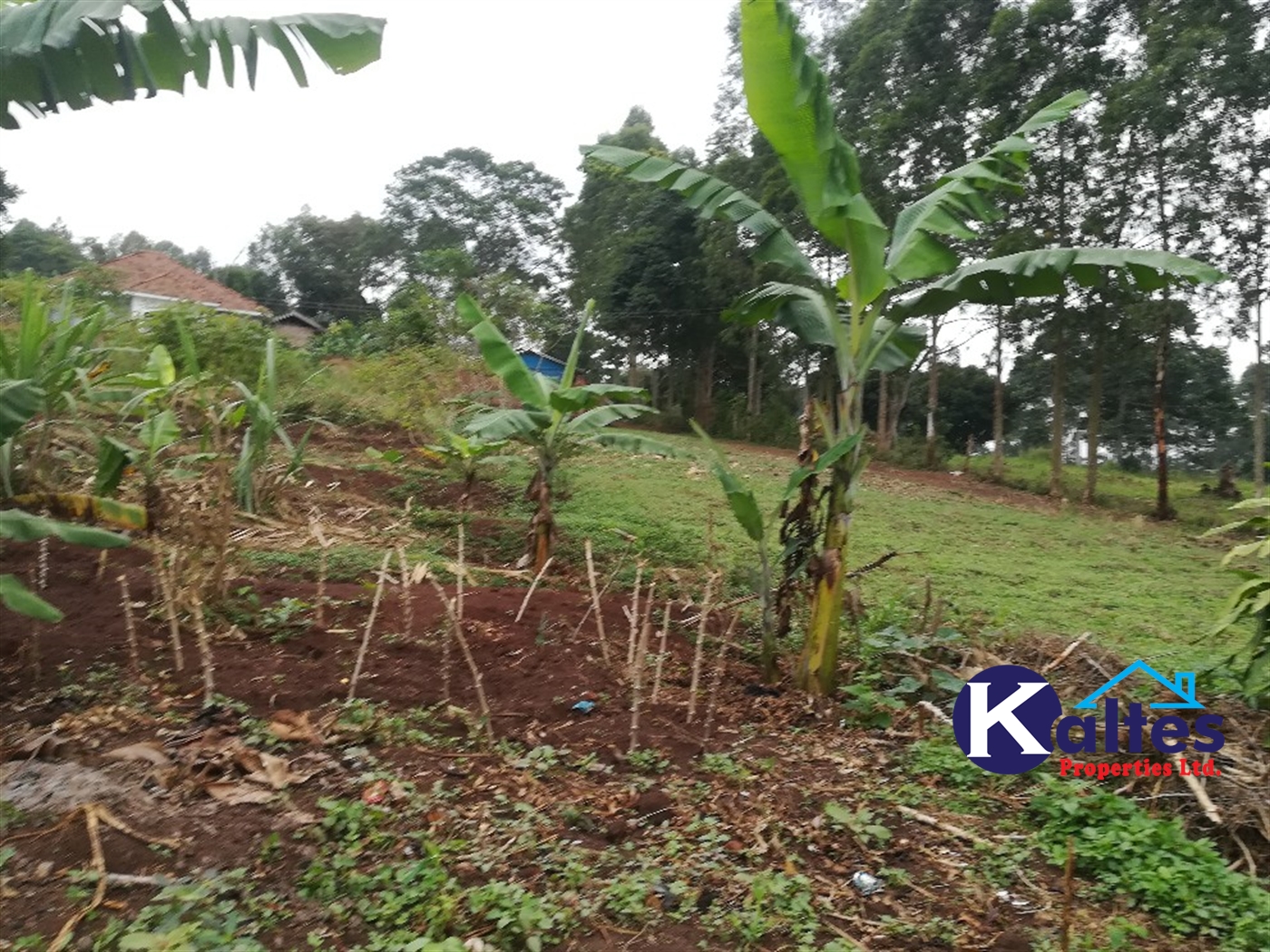 Residential Land for sale in Kiyunga Mukono