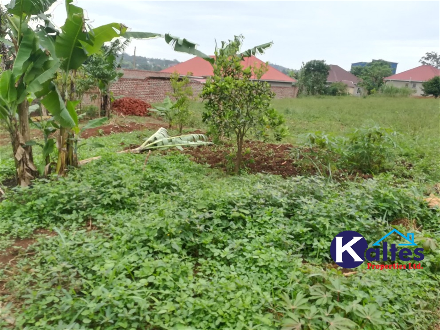 Residential Land for sale in Kiyunga Mukono