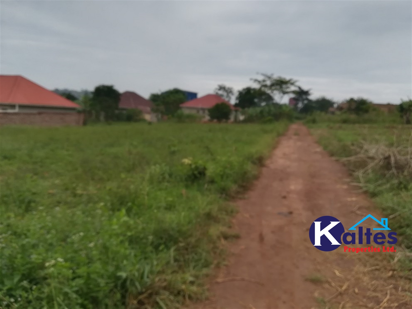 Residential Land for sale in Kabembe Mukono