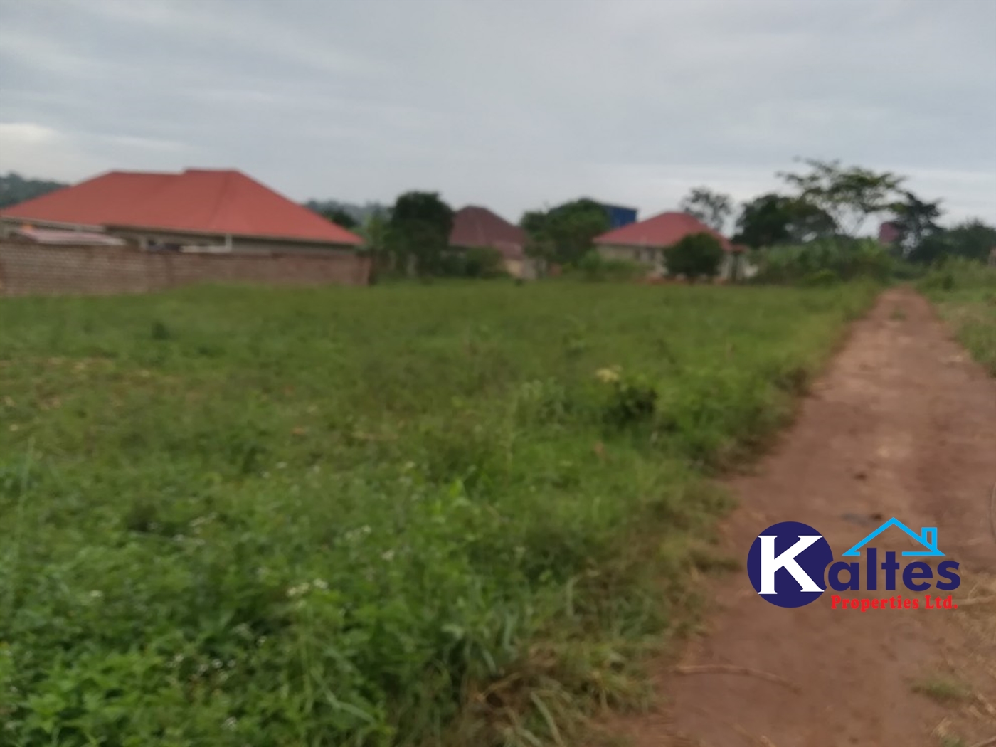 Residential Land for sale in Kabembe Mukono