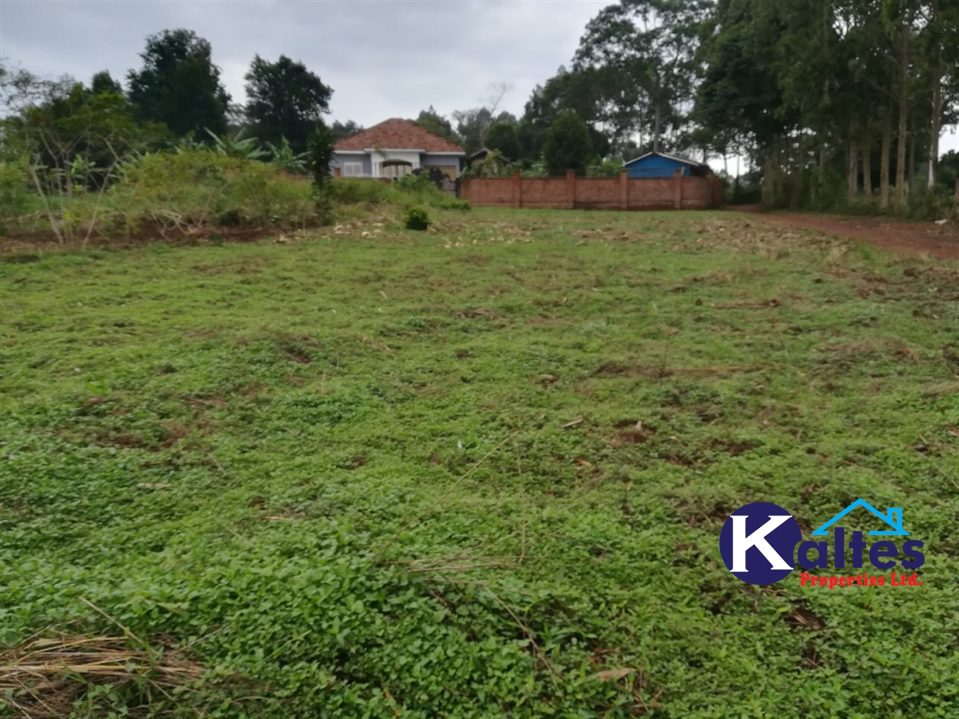 Residential Land for sale in Kabembe Mukono